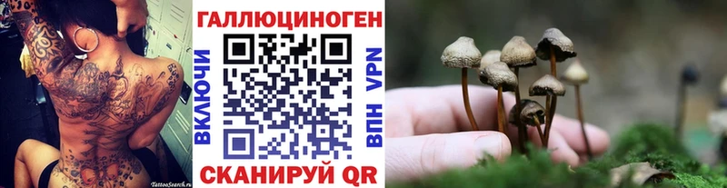 Псилоцибиновые грибы мицелий  Кологрив 